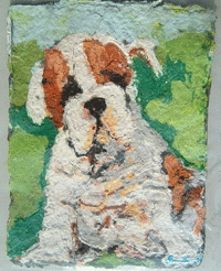 Bull Dog Puppy Portrait