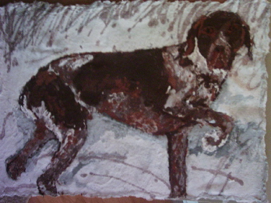 Pointer-In-Snow