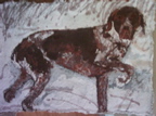 Pointer-In-Snow