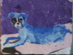 Blue-Dogs
